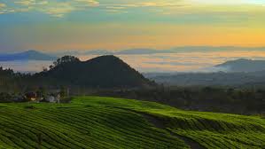 Image result for about Bandung