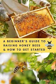 Pin On Gardening