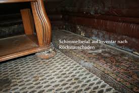 Was ist das für ein schimmel ? Wasserschaden Typische Schadensfalle Schimmelpilze Igu