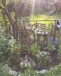 Staudenbeet Anlegen Garten Fr Ulein Der Garten Blog Gartendesign Garten Gartendeko Gartengestaltung In 2020 Garden Types Plants Rose Trees