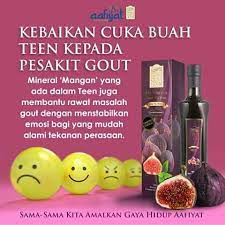 Cuka apel merupakan salah satu jenis cuka yang paling populer dalam hal kesehatan. Sari Cuka Teen Mempunyai 1001 Olive House Bayan Baru Facebook