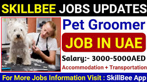 Browse the latest openings near you. Job In Uae Role Pet Groomer Company Petlove Grooming And Accessories Salary 3000 5000aed Youtube