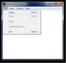 Click download the windows flash player 13 projector (exe, 9.95mb) link. Adobe Flash Projector Questions Answers Forum Realmeye Com
