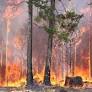 French Political Leaders Demand Strong Action Amid Devastating 2026 Wildfires