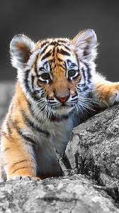 Pin On Cute