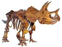 Once blocks are selected you can: Dinosaur Wikipedia