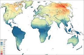 Image result for Balthasaria schliebenii