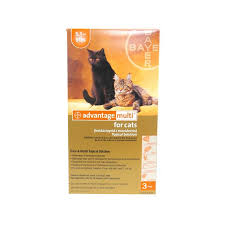 Maybe you would like to learn more about one of these? Advantage Multi For Cats Free 2 Day Shipping Walmartpetrx Com