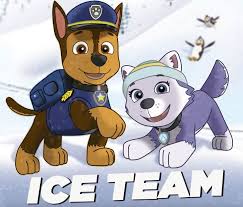 Pin By Bryan Cameron Hutchings On Paw Patrol Paw Patrol Paw Teams