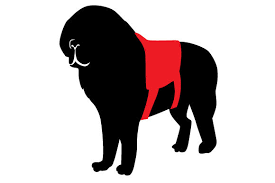 Download St Bernard Silhouette Wearing Service Dog Vest Svg Cut File By Creative Fabrica Crafts Creative Fabrica SVG Cut Files