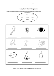Write the parts of the body in the correct group. Body Parts Worksheet Body Parts Worksheet Free Esl Printable Worksheets Made Parts Of The Body Esl Games Activities And Worksheets Pollyi Barely