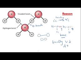 Explain With The Help Of A Graph The Anomalous Expansion Of Water.