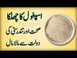 Ispaghol Ka Chilka Ke Kamalat Psyllium Husk Benefits In Urdu And Hindi Psyllium Husk Benefits Husk Benefit