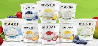 396942 Cheese Brands Cottage Cheese Yummy