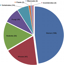 pie chart of species distribution of entries in validness