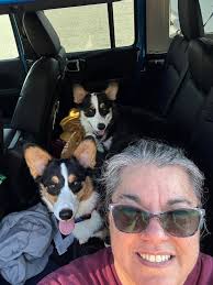 Tips for making car rides enjoyable for puppies