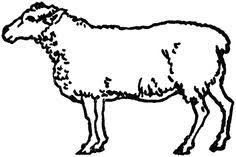 Black And White Sheep Drawing How To Draw A Sheep Clipart Best Sheep Drawing Sheep Drawings