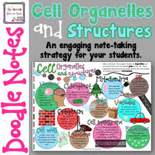 We did not find results for: Cell Organelles And Structures Doodle Notes By Science From The South