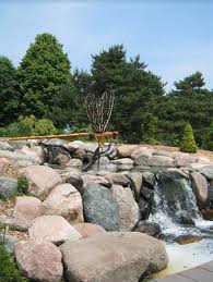 Last, situate some of the larger blue spruce dwarf trees for landscaping in rows to get a privacy screen on your property boundaries or in front dwarf trees are very artistic and decorative for every yard in both commercial and residential building. Choosing Evergreens For Your Landscape Umn Extension