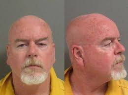 Sheriff: Cocaine, guns, pain pills seized in Hardeeville