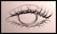 How to start a blog for beginners in 2021. Eyelashes Drawing Lessons Tutorials For How To Draw Eye Lashes Step By Step