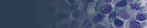 Maybe you would like to learn more about one of these? German Collection Of Microorganisms And Cell Cultures Gmbh Human And Animal Cell Lines