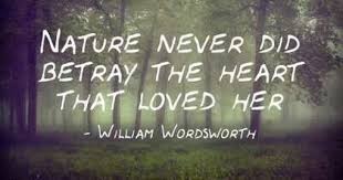 Nature Never Did Betray The Heart That Loved Her William Wordsworth Mother Nature Quotes Nature Quotes William Wordsworth Quotes
