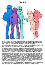 Different Types Of Loving In The Animal Kingdom Weird Animal Facts Animal Facts Fun Facts About Animals