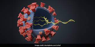 The variant was first seen in europe in march this year. Delta Plus Variant Of Covid 19 Is Not Yet Variant Of Concern Nullifies Monoclonal Antibody Use Government News