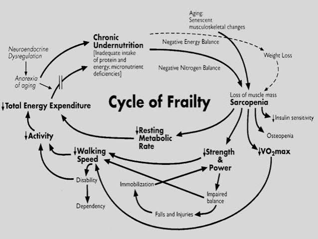 Frailty in HIV care and the importance of lifestyle changes | HIV i-Base