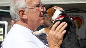 Beagle rescuer who promised to make dogs' lives better dies at 76