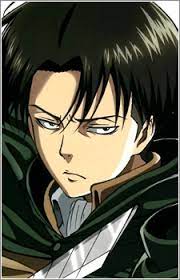 Levi is so cool and has a lot more going on than a lot of people give him credit for. Levi Shingeki No Kyojin Myanimelist Net