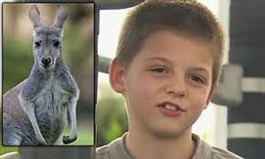 Young kangaroos are called joeys. Saved By Skippy Australian Boy 7 Saved By Friendly Kangaroo After Going Missing For 24 Hours In The Bush Daily Mail Online