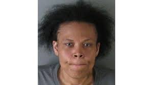 Mother indicted, charged with helping son facing murder charge evade police