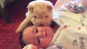 Puppy is really excited to see baby Cute Puppies And Babies Playing Together Compilation 2019 2 Youtube