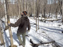 You could use your java ide for smart completion when creating java routing rules via the dsl which will give you smart completion in java code. Vermont Plans To Step Up Logging On Public Land Around Camel S Hump Environment Seven Days Vermont S Independent Voice