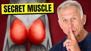 Phase 2: Fine Manipulation