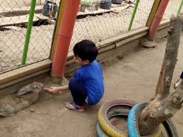 Sebab telah lama ditinggalkan serta lokasinya yang berada di kawasan tempat wisata, akhirnya pun. Ngainun Naim Taman Kelinci Pasopati
