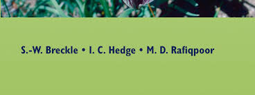 Image result for Kyllinga merxmuelleri