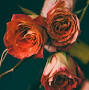 Profile Picture of Obituary information for Robin Veal - Perry Funeral Homeon Google