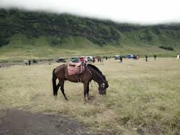 Pengajaran yg lekas sekali dilupakan (orang yg dipercayai menyimpan wang tetapi memboroskan wang itu). Peribahasa Tingkatan 5 Education Quiz Quizizz