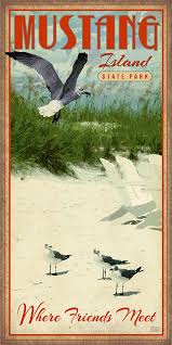 Image result for ark mustang island beach texas