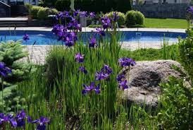 Einen japanischen garten gestalten mit allem was dazu gehört: Gartendesign Inspiration Magazin Fur Gartengestaltung