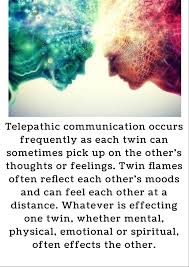 Image result for twin flame infographic