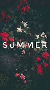 Download hd wallpapers for free on unsplash. 1001 Ideas For Cute Wallpapers That Bring The Summer Vibe