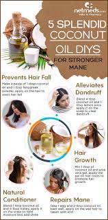 Lauric acid has low molecular weight, which makes it easily absorbed by the hair shaft 4 and thus works as a natural conditioner, helping prevent split ends. Coconut Oil 5 Amazing Coconut Oil Diy Recipes For Lustrous And Healthier Hair Infographic