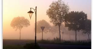 Foggy Crossroads Wallpaper Nature Desktop Wallpaper Tree Hd Wallpaper Nature Photos