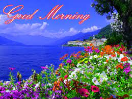 Check spelling or type a new query. 17 Nature Good Morning Wallpaper Hd Download Venera Wallpaper