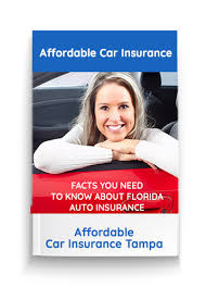 And we didn't even count some. Auto Insurance For Low Income Families Affordable Car Insurance Tampa