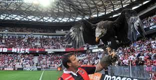 68 cardinale gk 69 div. All You Need To Know Ogc Nice